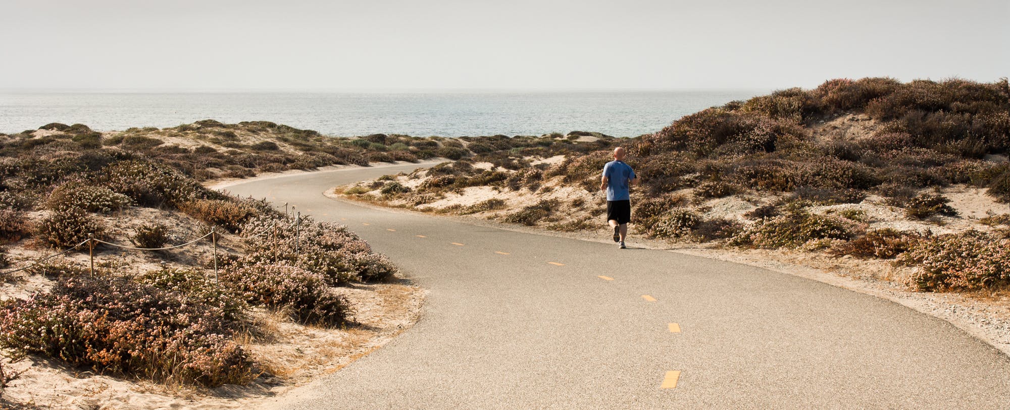 Running Insights: Going Fast in 2015