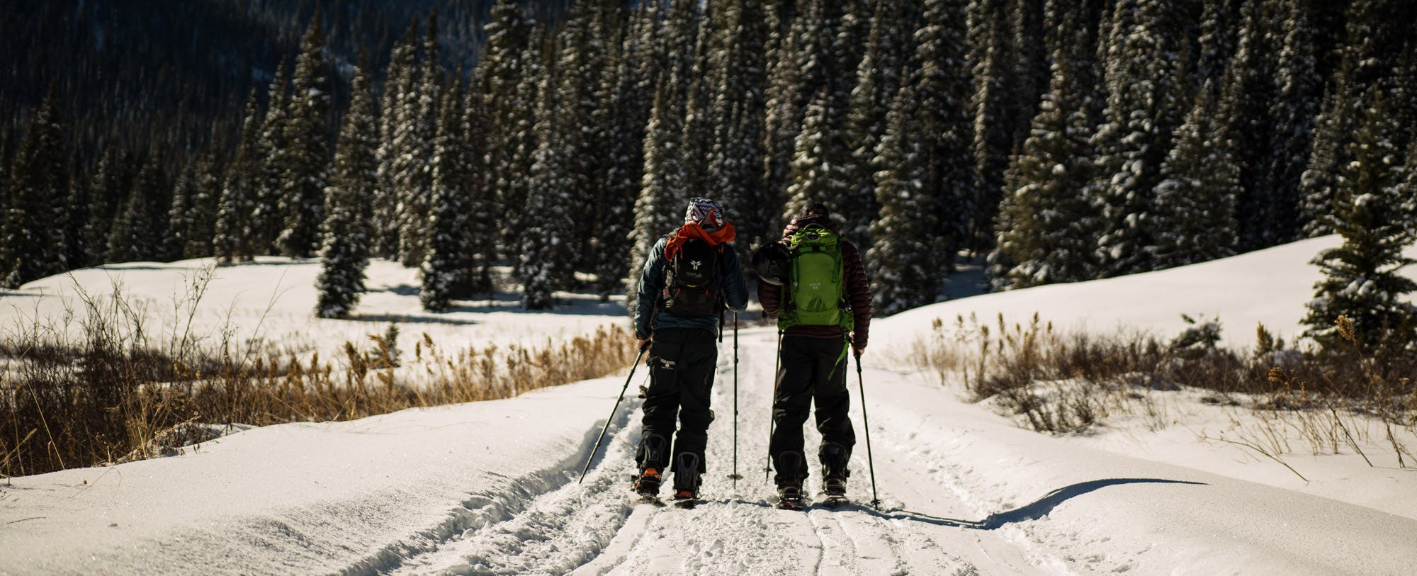 Basin and Range: Backcountry’s Exclusive Line