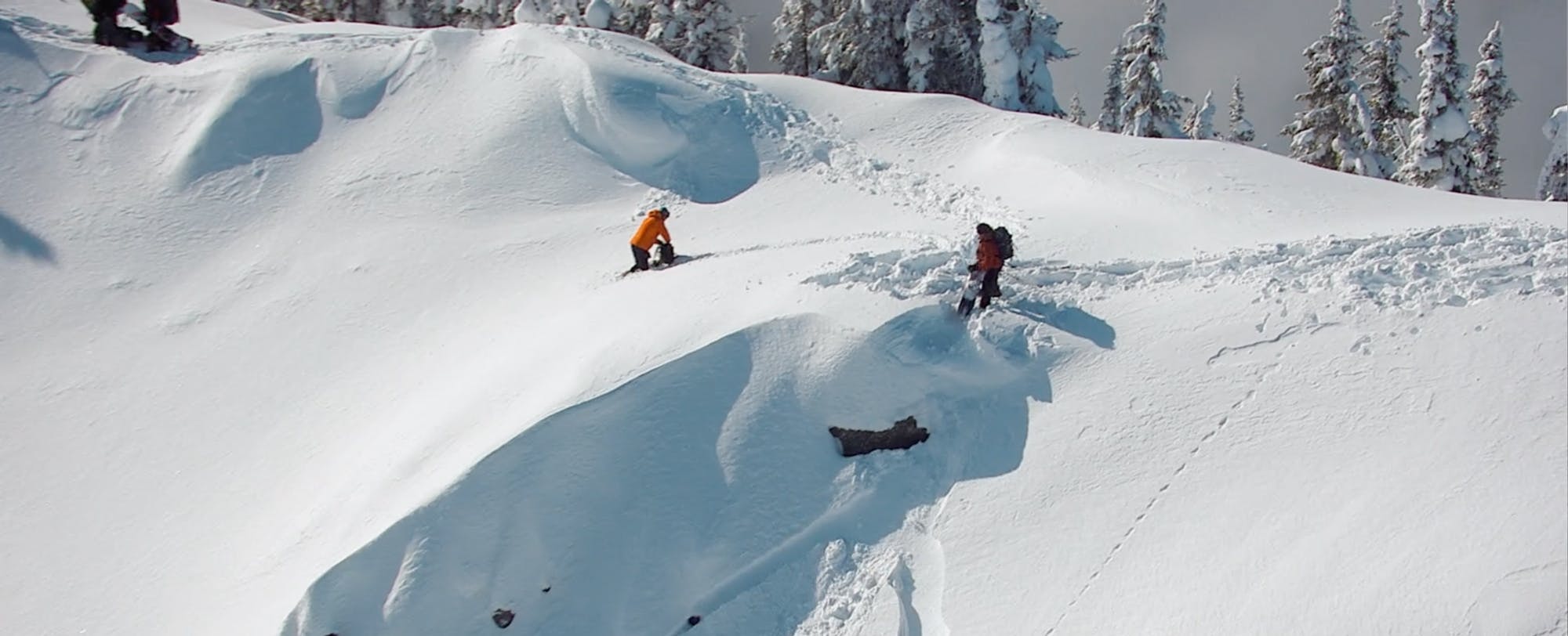 Know Before You Go: An Avalanche Safety PSA