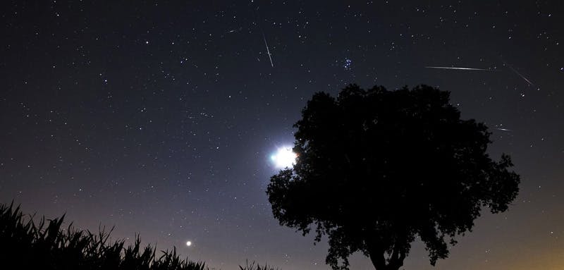 Perseid Meteor Shower: It’s Show Time