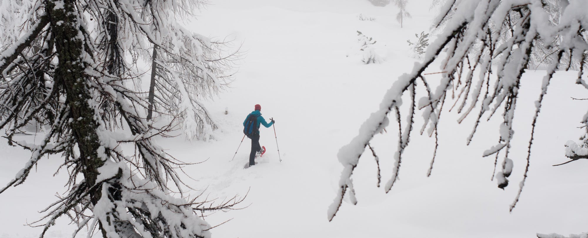 Five Reasons to Go Snowshoeing