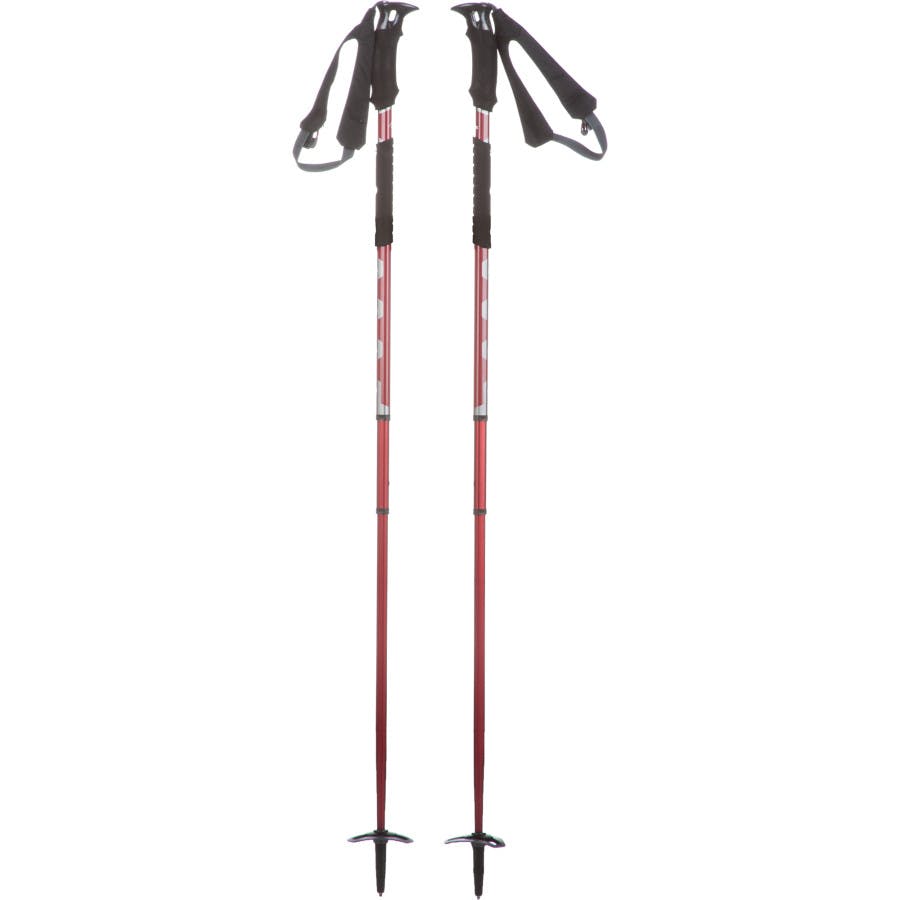 https://s3.amazonaws.com/activejunky/images/products/msr-flight-3pole.jpg
